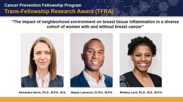 Trans-Fellowship Research Award